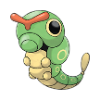 caterpie