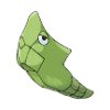 metapod