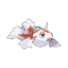 goldeen