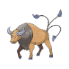 tauros