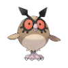 hoothoot