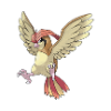 pidgeotto