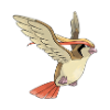 pidgeot