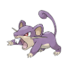 rattata