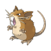 raticate