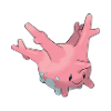 corsola