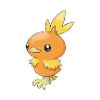 torchic