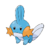 mudkip