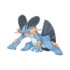 swampert