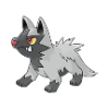 poochyena