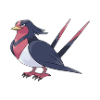 swellow