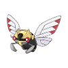 ninjask