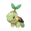 turtwig