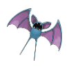 zubat