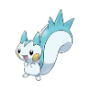 pachirisu