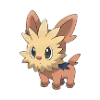 lillipup