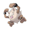 primeape