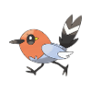 fletchling