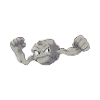 geodude