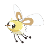 cutiefly