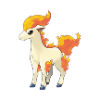 ponyta