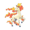 rapidash