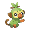 grookey