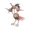 dodrio